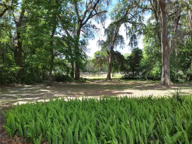 a view of backyard with green space
