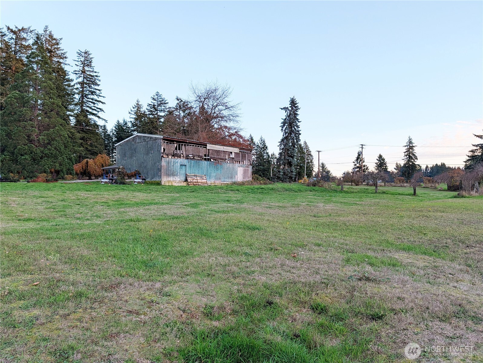 3619 Shincke Road Northeast Olympia, WA 98506 - Photo 8 of 28 a backyard of a house with plants and large trees