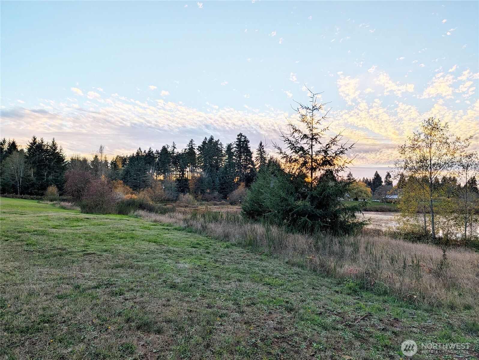 3619 Shincke Road Northeast Olympia, WA 98506 - Photo 10 of 28 a view of lake with green space