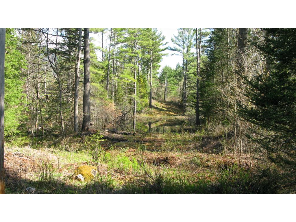 97 Sugar Hill Road Easton, NH 03580 - Photo 9 of 35