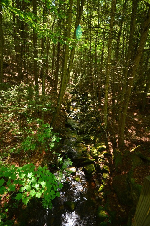 481 4 Mile Brook Road Northfield, MA 01360 - Photo 24 of 26 Gallery Image 24