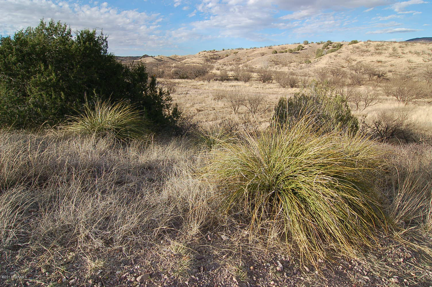 Lot D Lot D Stevens Ranch Road Patagonia, AZ 85624 - Photo 18 of 26
