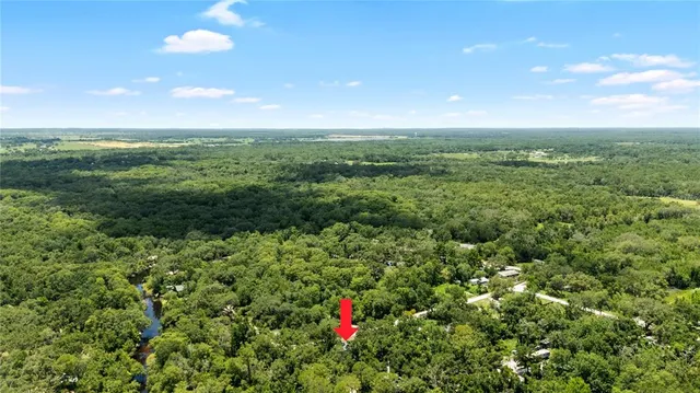 a view of a green field with lots of green space