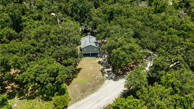a view of a yard with plants