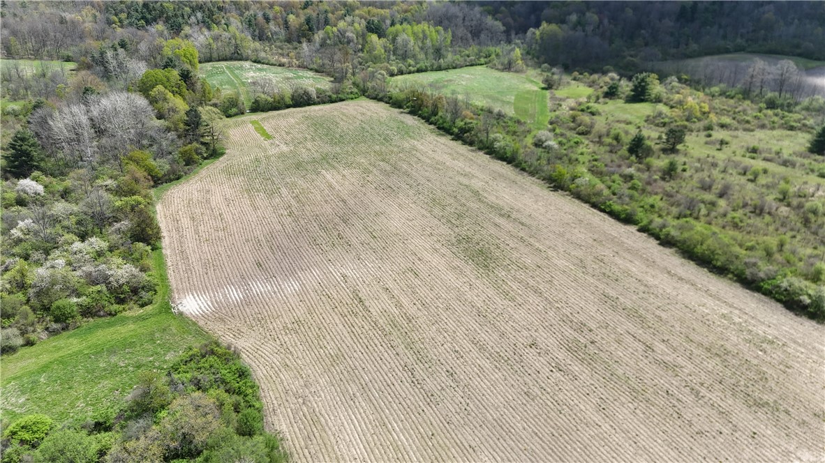 Oakland Road Mount Morris, NY 14510 - Photo 11 of 18