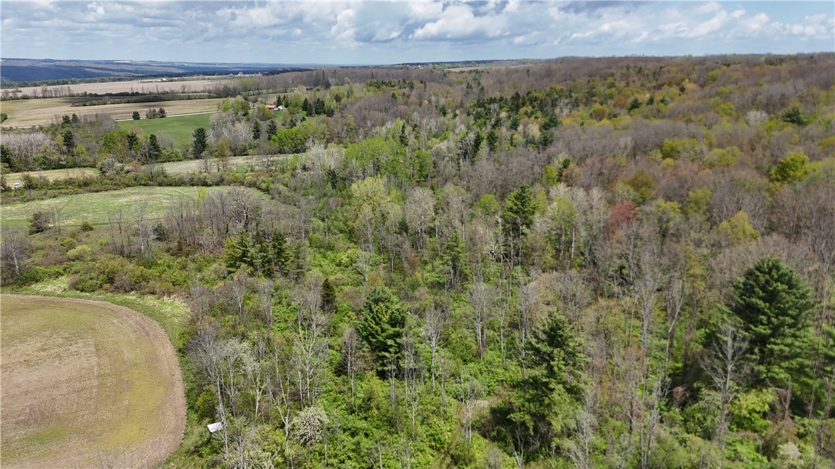 Oakland Road Mount Morris, NY 14510 - Photo 12 of 18