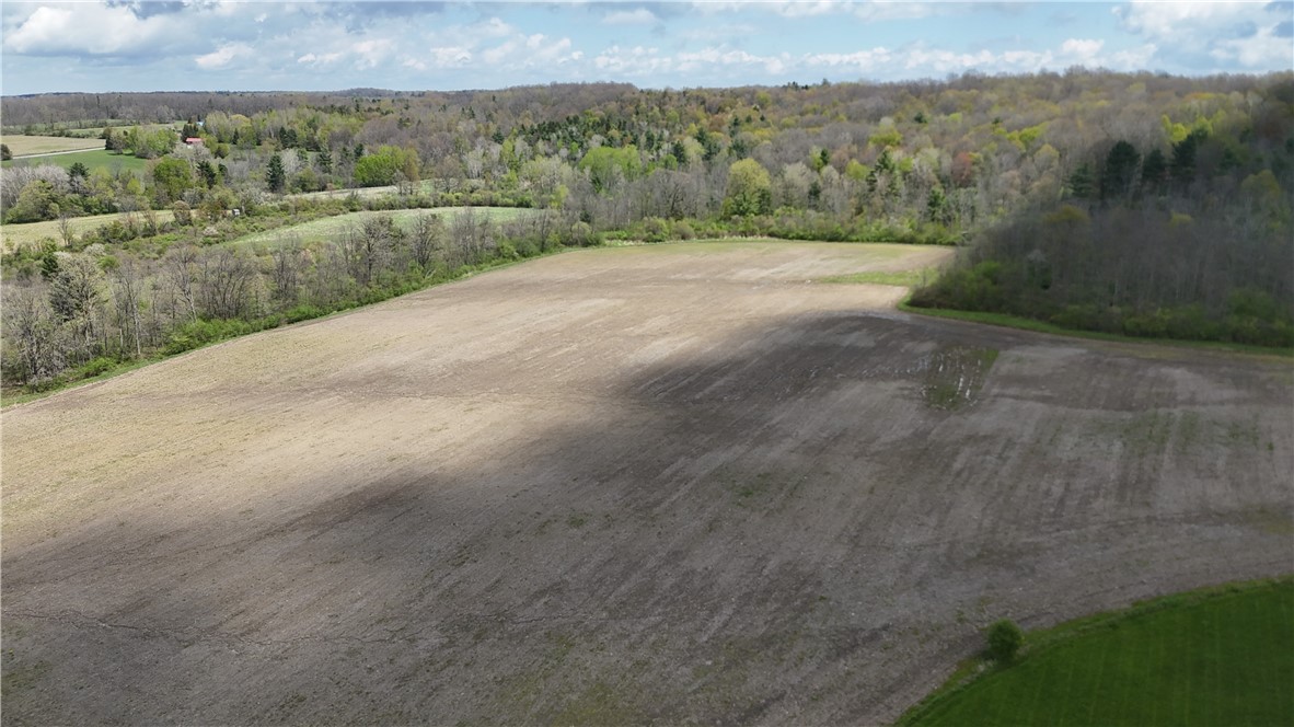 Oakland Road Mount Morris, NY 14510 - Photo 13 of 18