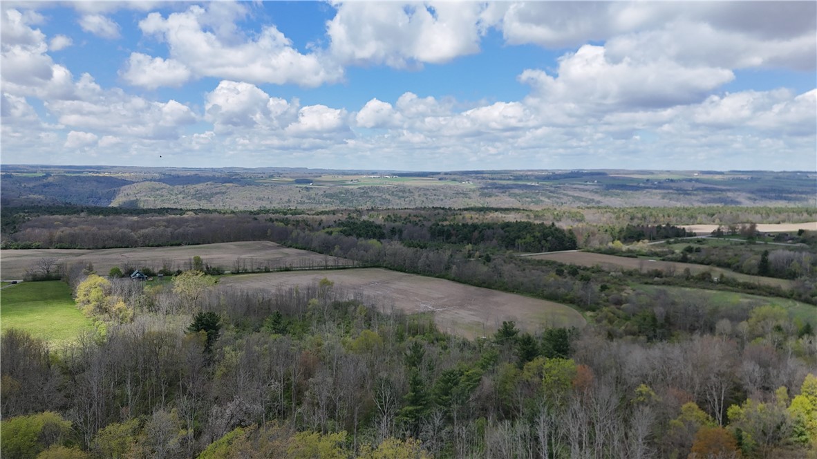 Oakland Road Mount Morris, NY 14510 - Photo 14 of 18