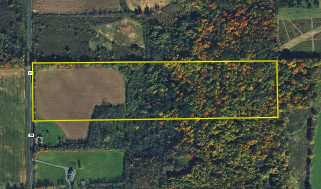 Oakland Road Mount Morris, NY 14510 - Photo 16 of 18