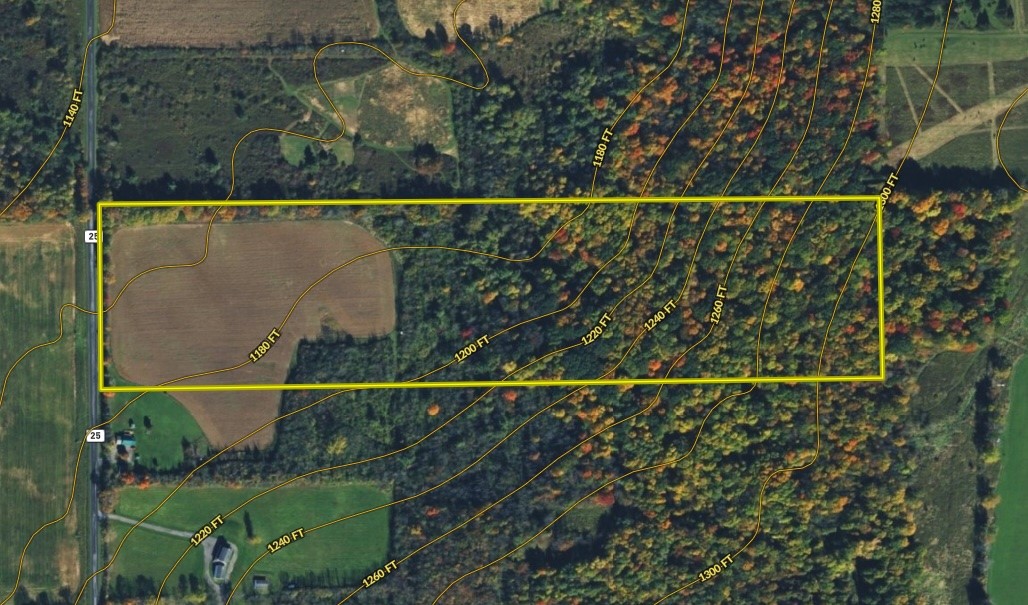 Oakland Road Mount Morris, NY 14510 - Photo 17 of 18