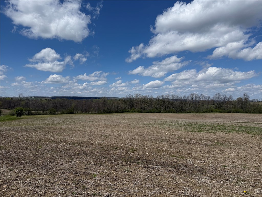 Oakland Road Mount Morris, NY 14510 - Photo 4 of 18