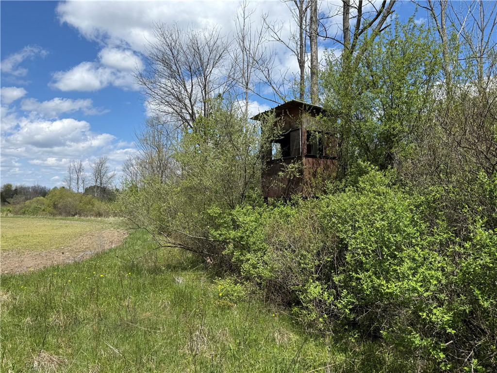 Oakland Road Mount Morris, NY 14510 - Photo 5 of 18