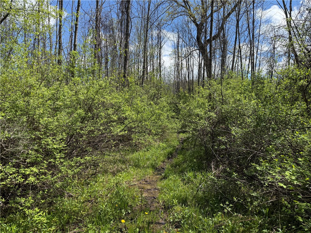 Oakland Road Mount Morris, NY 14510 - Photo 6 of 18