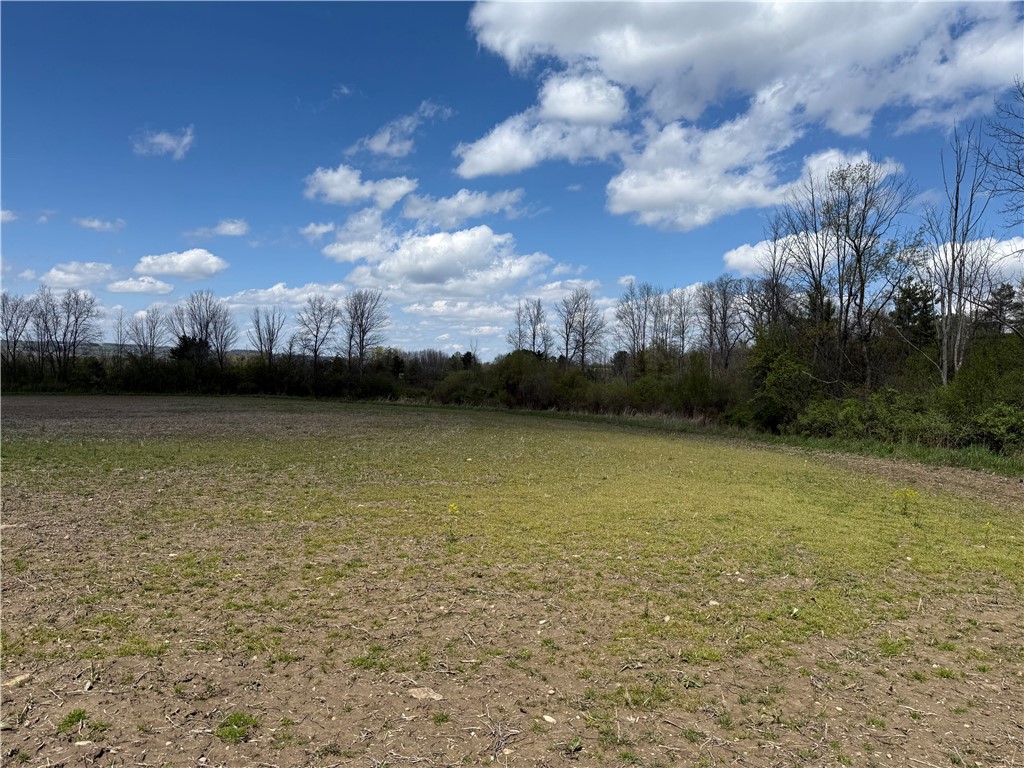 Oakland Road Mount Morris, NY 14510 - Photo 10 of 18