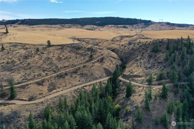 $25,000 | 0 Deer Creek Drive, Waterville, WA 98858