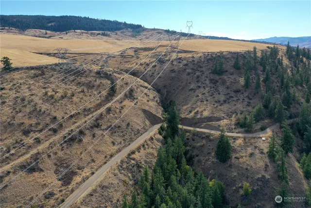 $25,000 | 0 Deer Creek Drive, Waterville, WA 98858