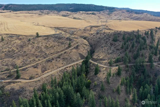 $25,000 | 0 Deer Creek Drive, Waterville, WA 98858