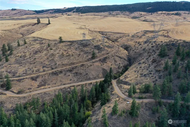 $25,000 | 0 Deer Creek Drive, Waterville, WA 98858