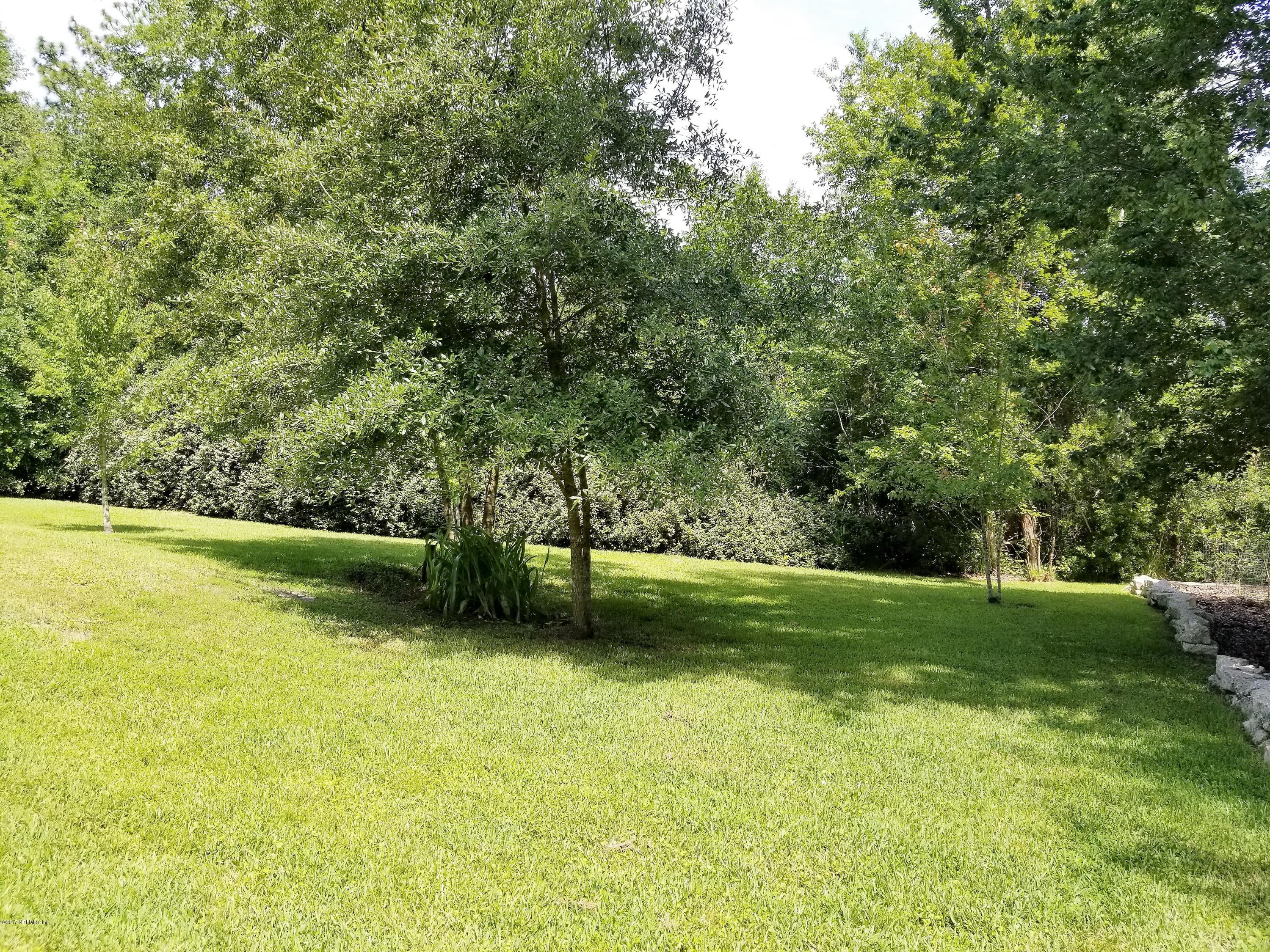 4467 Witch Hazel Road Middleburg, FL 32068 - Photo 44 of 55 20170626_111927
