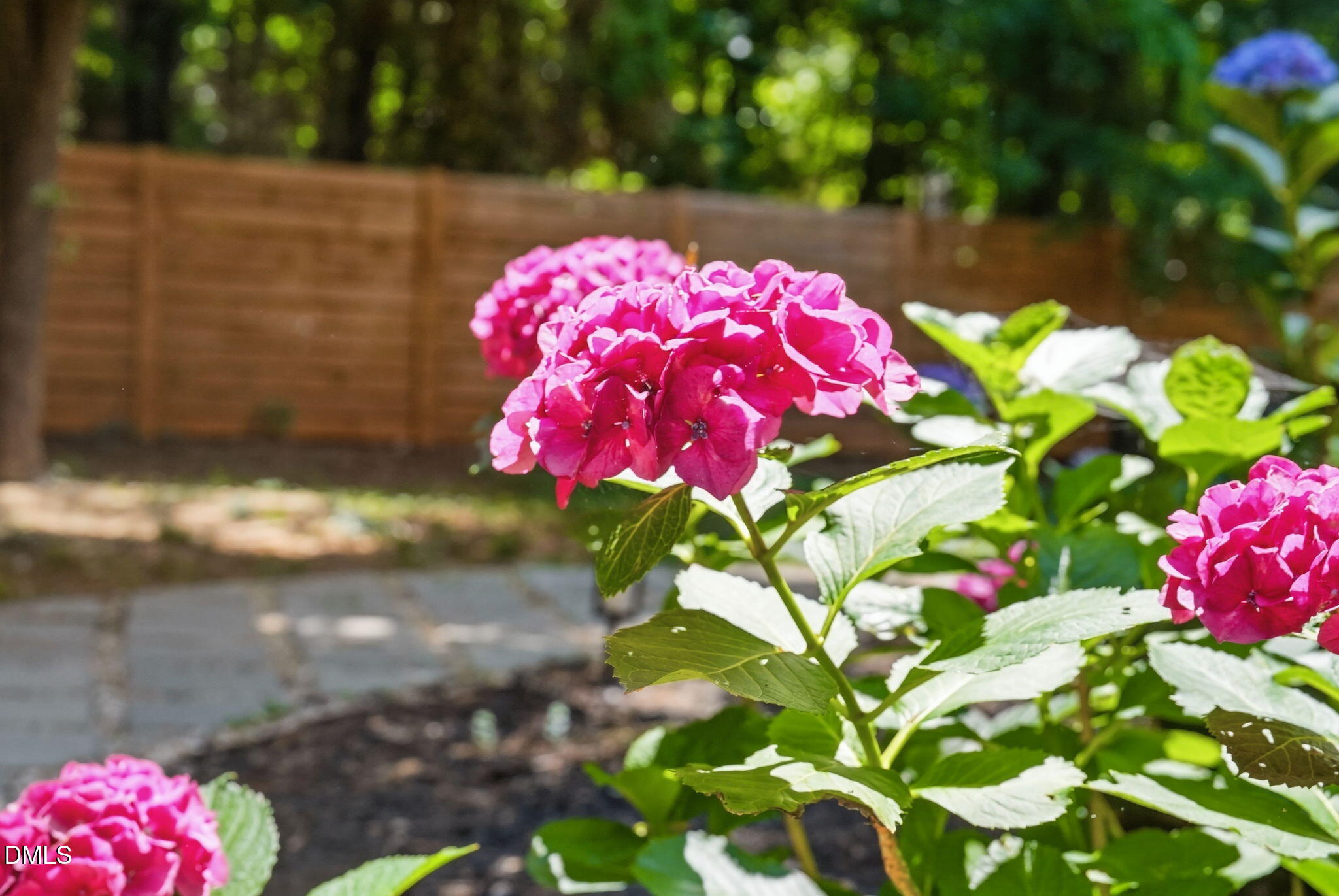 1605 Harmont Drive Raleigh, NC 27603 - Photo 65 of 78