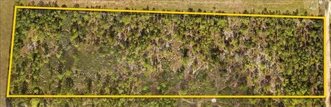 a view of a lots of trees