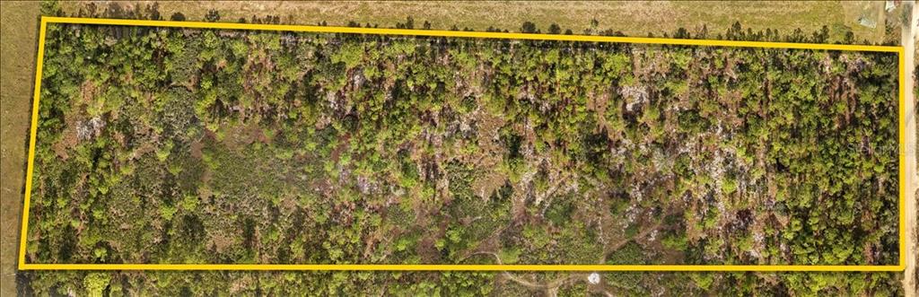 47030 Bermont Road Punta Gorda, FL 33982 - Photo 8 of 8 a view of a lots of trees