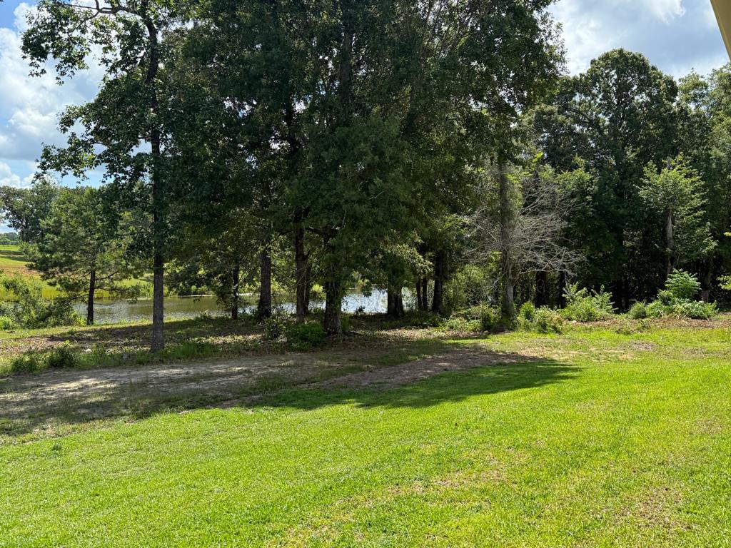 245 County Road 422 Abbeville, AL 36310 - Photo 32 of 39