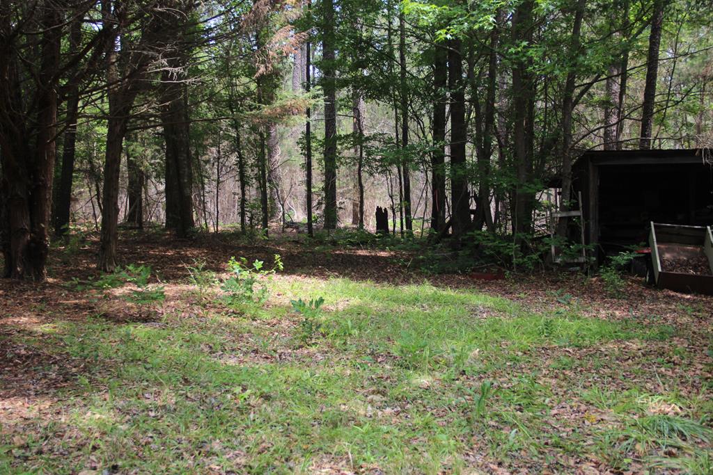 79 Pierce Boozer Loop Prosperity, SC 29127 - Photo 6 of 19