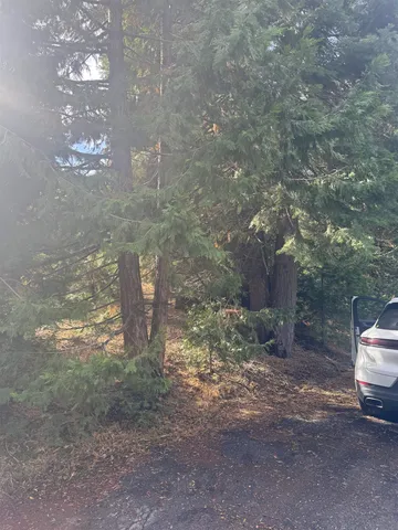 $35,000 | 1216 Lynx Road, Lake Almanor, CA 96137