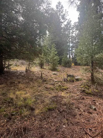 $35,000 | 1216 Lynx Road, Lake Almanor, CA 96137