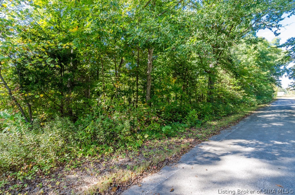 0 State Road 135 West Side Road Pekin, IN 47165 - Photo 4 of 9
