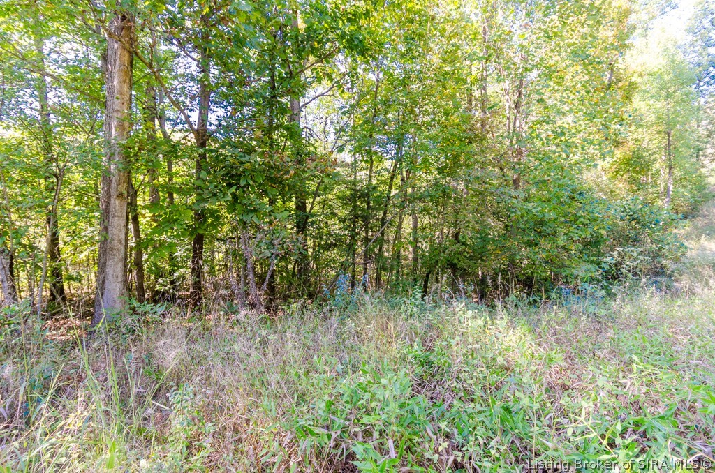 0 State Road 135 West Side Road Pekin, IN 47165 - Photo 5 of 9