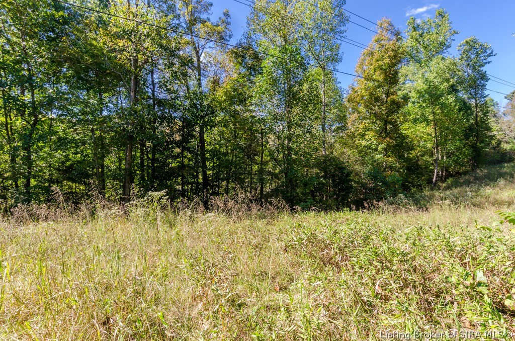 0 State Road 135 West Side Road Pekin, IN 47165 - Photo 6 of 9