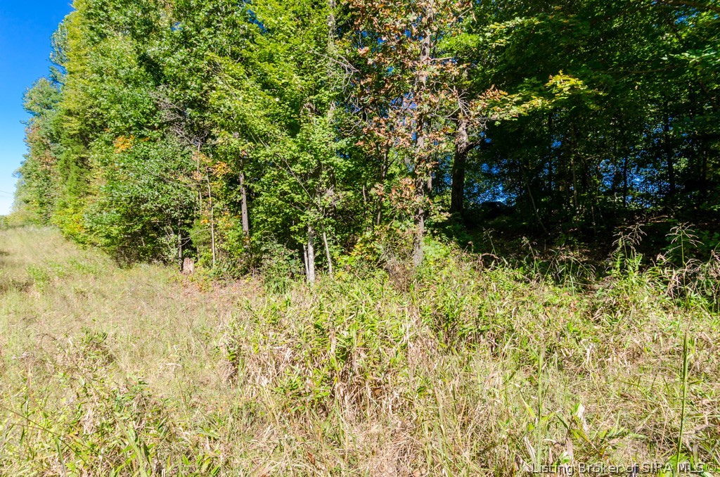 0 State Road 135 West Side Road Pekin, IN 47165 - Photo 7 of 9