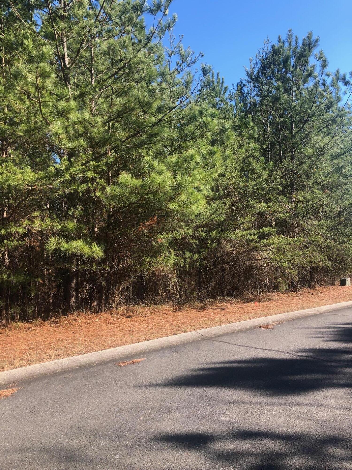 136 Cherokee Ridge Drive Ocoee, TN 37361 - Photo 3 of 8 136 Cherokee Ridge - lot view 1