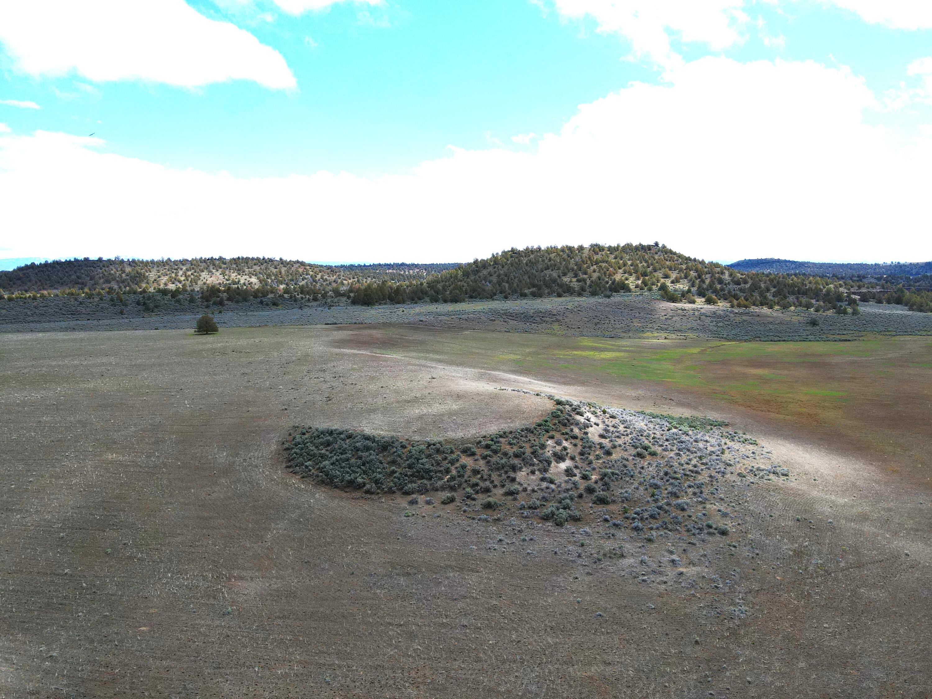 3234 County Road 75 Alturas, CA 96101 - Photo 12 of 44 a view of a lake with a mountain in the back