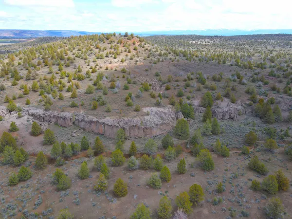 a view of a dry yard with trees