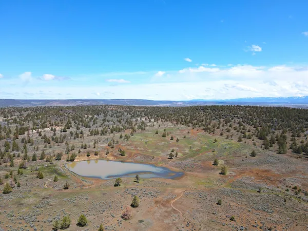 a view of a field with an ocean