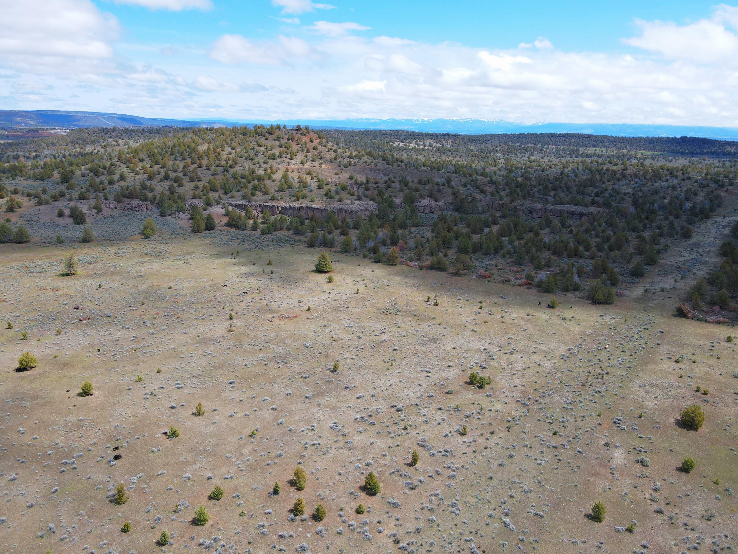 3234 County Road 75 Alturas, CA 96101 - Photo 27 of 44 a view of a dry yard with wooden floor and fence