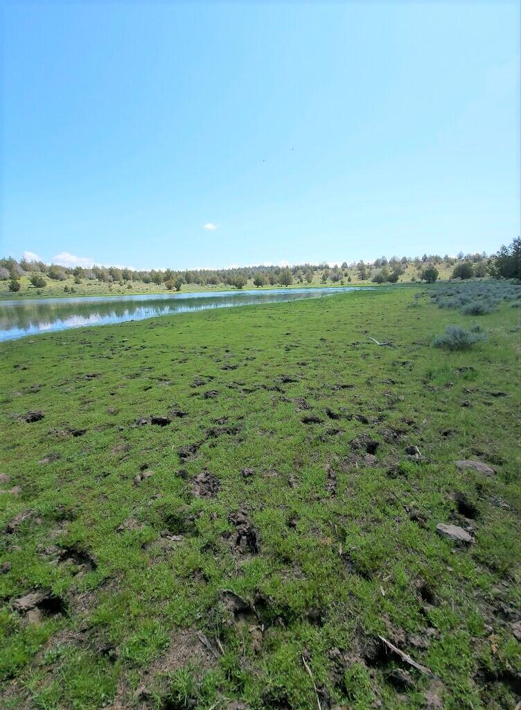 3234 County Road 75 Alturas, CA 96101 - Photo 28 of 44 a view of a field with an ocean