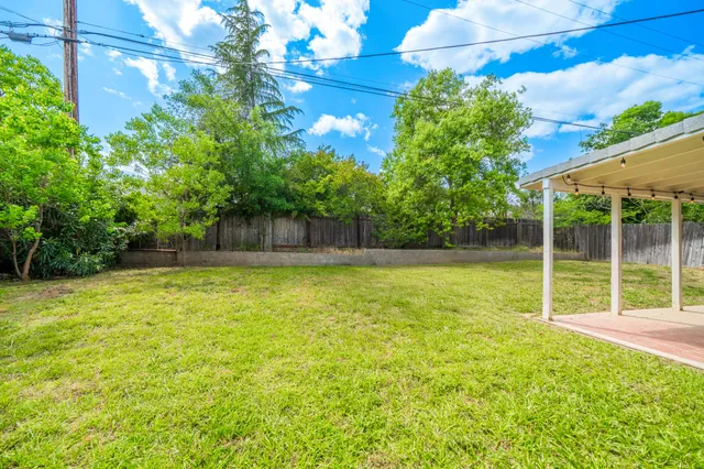 a backyard of a house with plants and large tree