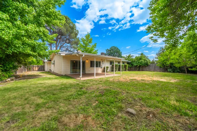 a view of a backyard with plants