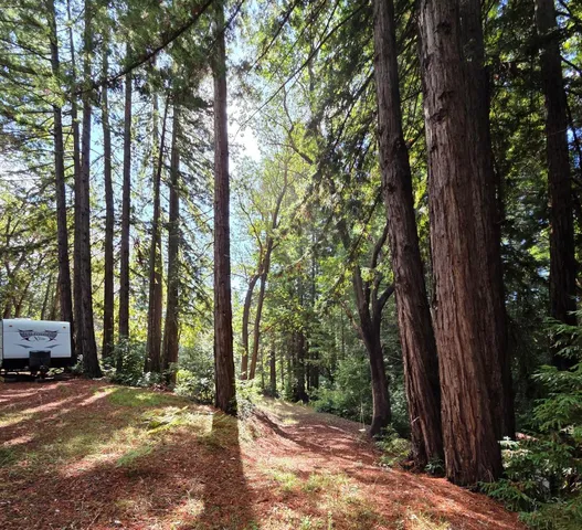 a view of street and trees