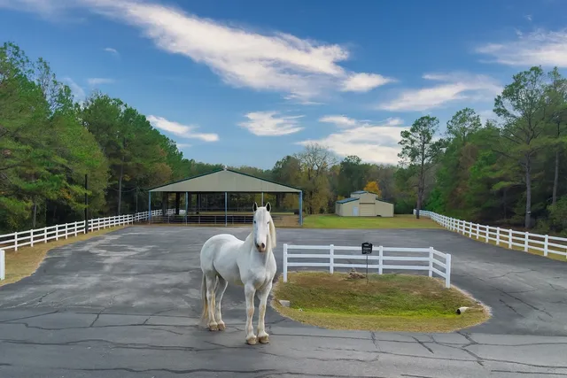 a view of a swimming pool with a yard