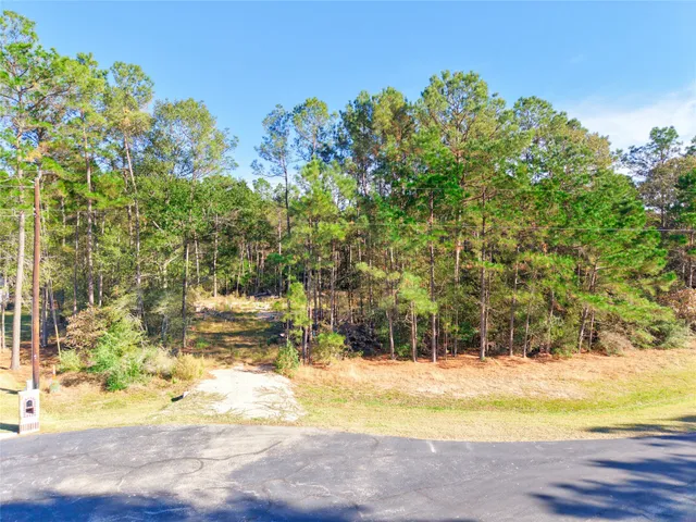 a view of yard with swimming pool and trees