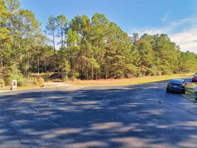 a view of yard with large trees and cars