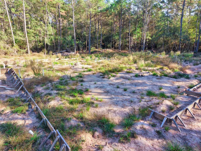 a view of a yard with a tree