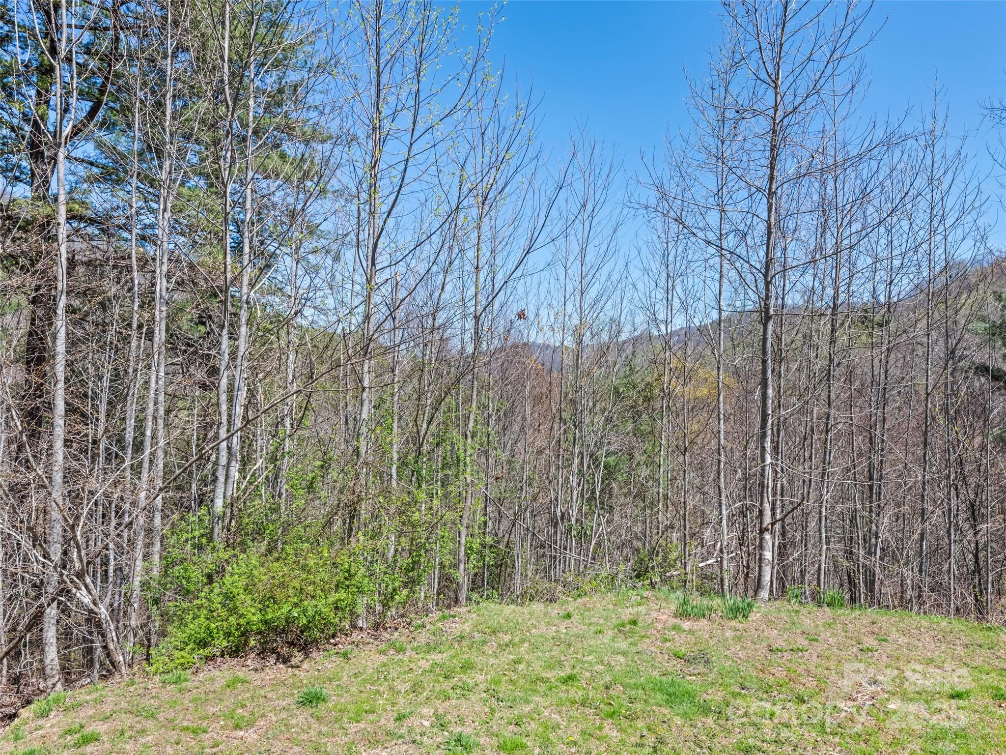 785 White Rock Road Cullowhee, NC 28723 - Photo 25 of 27 Gallery Image 25