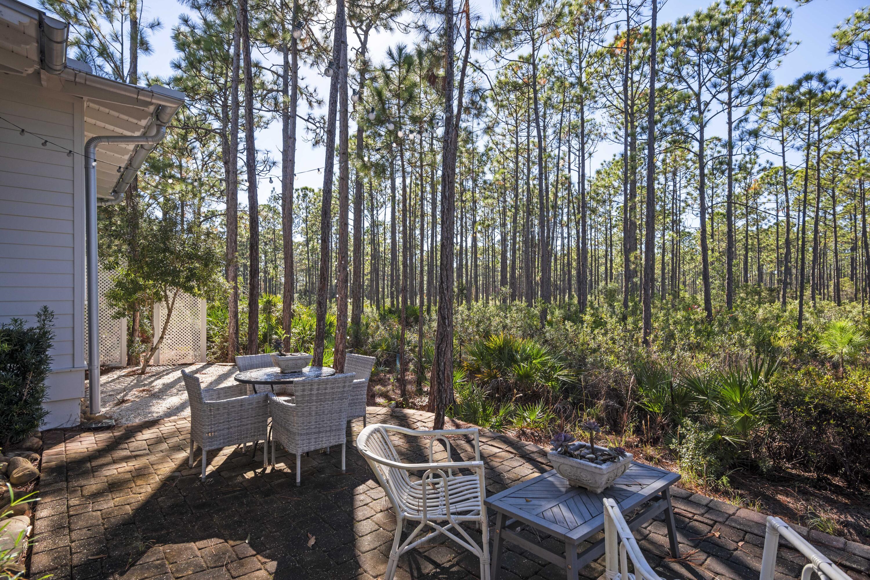 77 Beargrass Way Santa Rosa Beach, FL 32459 - Photo 36 of 51 Gallery Image 36