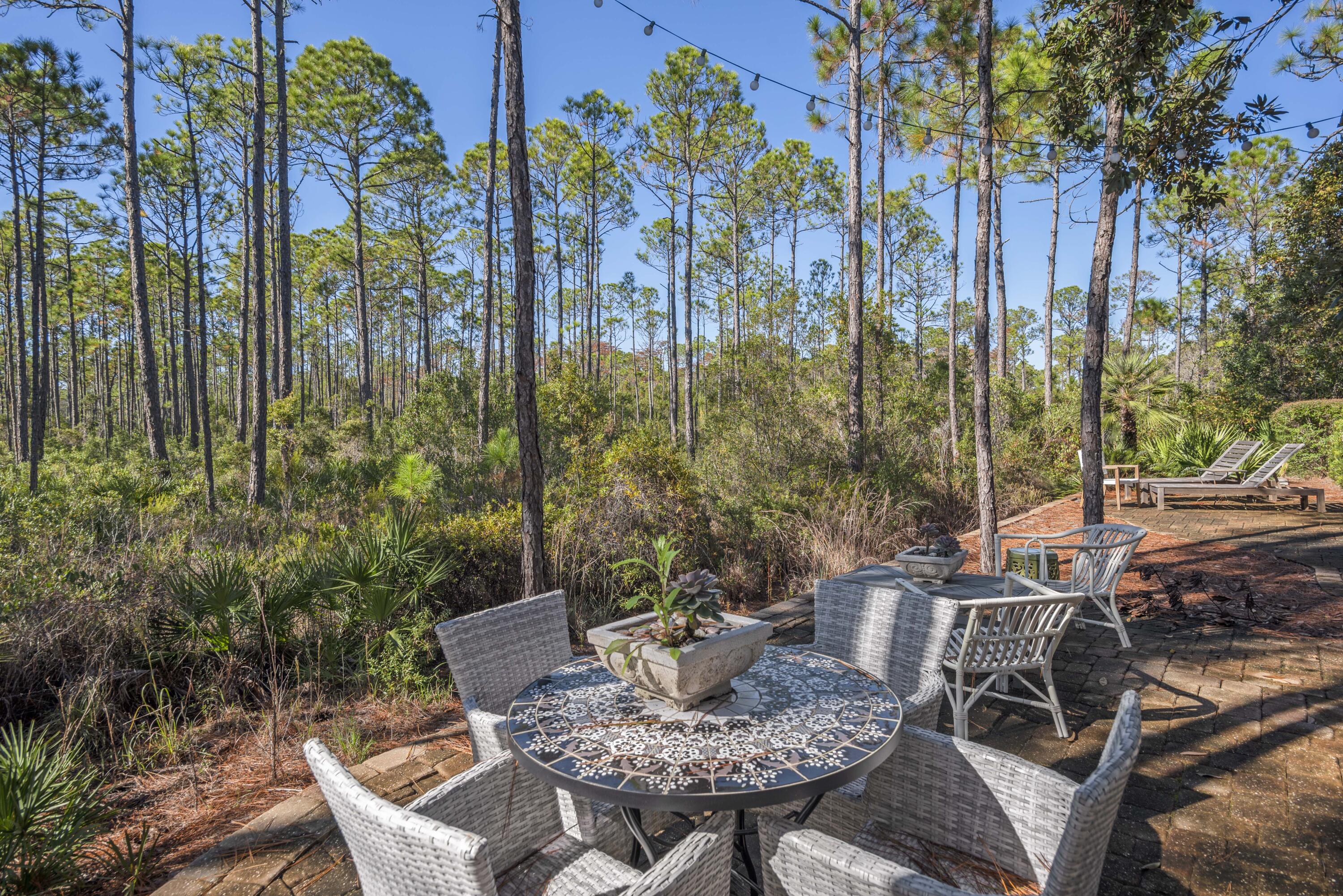 77 Beargrass Way Santa Rosa Beach, FL 32459 - Photo 39 of 51 Gallery Image 39